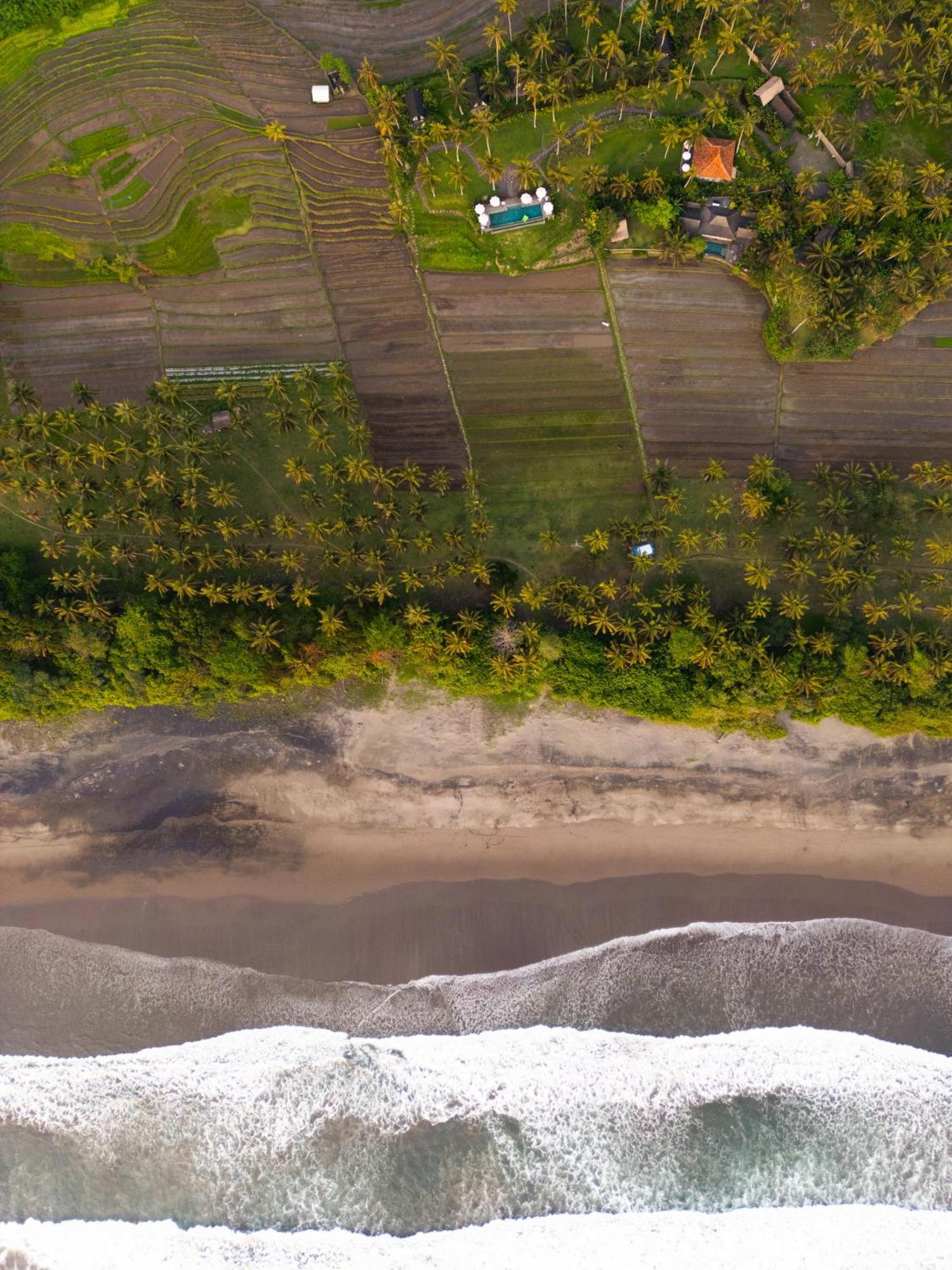 Desa Cabins Balian Kültér fotó