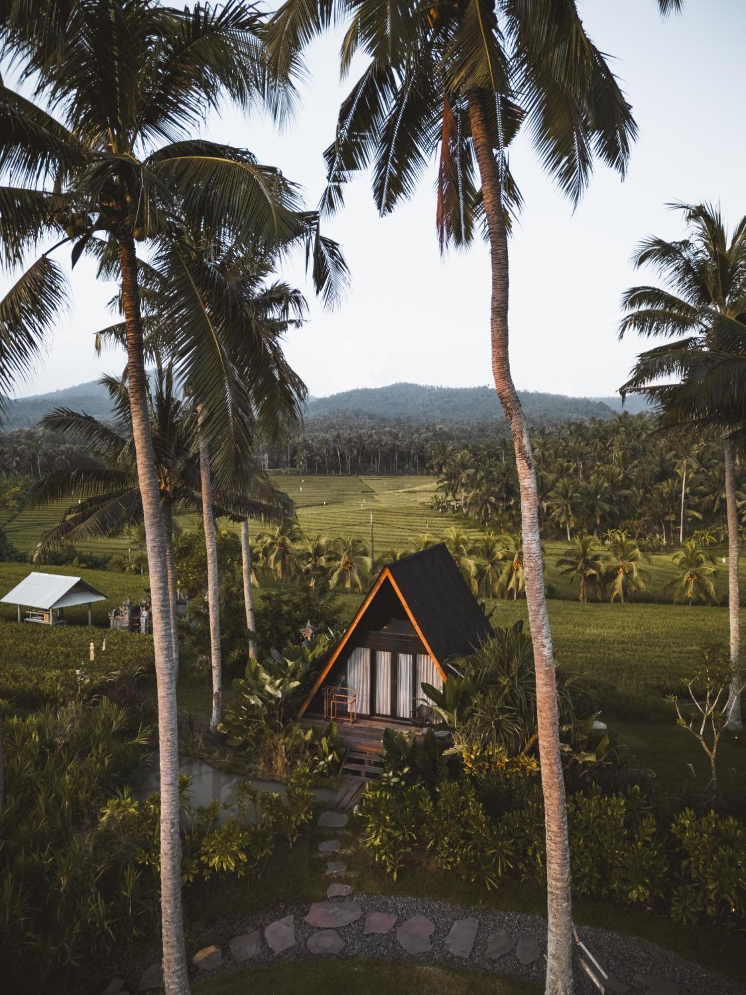 Desa Cabins Balian Kültér fotó